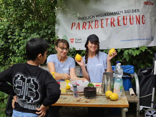 Galeriebild