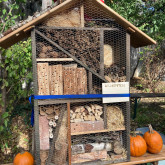 Insektenhotels folgen in der nächsten Saison...