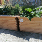 Walter-Kuhn-Park HochbeetZone & Wurmhotel