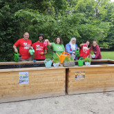 Waldmüllerpark Hochbeete