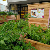 Quellenplatz GartenZone & Wurmhotel